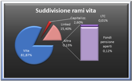suddivisione-rami-vita