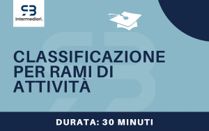 Classificazione per rami di attività